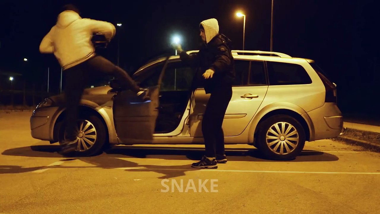 WARRIORS PART 8 SNAKES IN THE GRASS