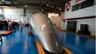 Hyperloop TT : Comment spaceX crée la première capsule de transport futuriste