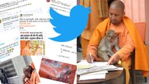 Yogi Adityanath को Hanuman जी को Dalit कहना पड़ा भारी, Twitter Users ने खूब लिए मजे । वनइंडिया हिंदी