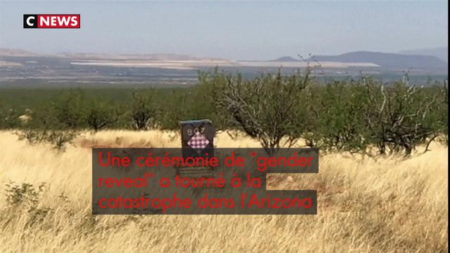 États-Unis : ils déclenchent un incendie en voulant révéler le sexe de leur bébé