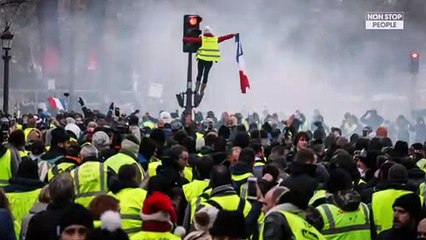 Brigitte Bardot et Kaaris en gilets jaunes : ils soutiennent à leur tour le mouvement