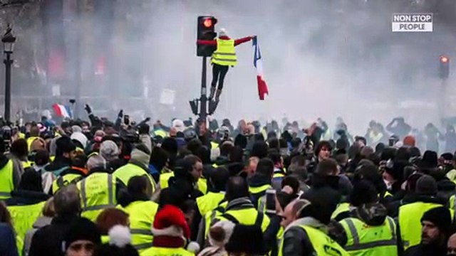 Brigitte Bardot et Kaaris en gilets jaunes : ils soutiennent à leur tour le mouvement
