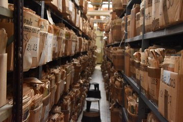 8 millions d'archives de journaux à Fontaines