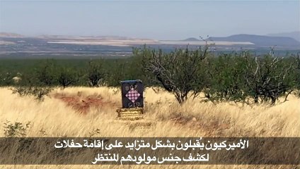 أميركي أراد كشف جنس مولوده المنتظر فتسبب بحريق هائل