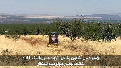 أميركي أراد كشف جنس مولوده المنتظر فتسبب بحريق هائل