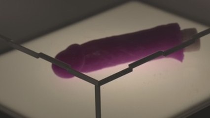 El Museo de Amores Rotos trata efectos de guerra y migración sobre el amor