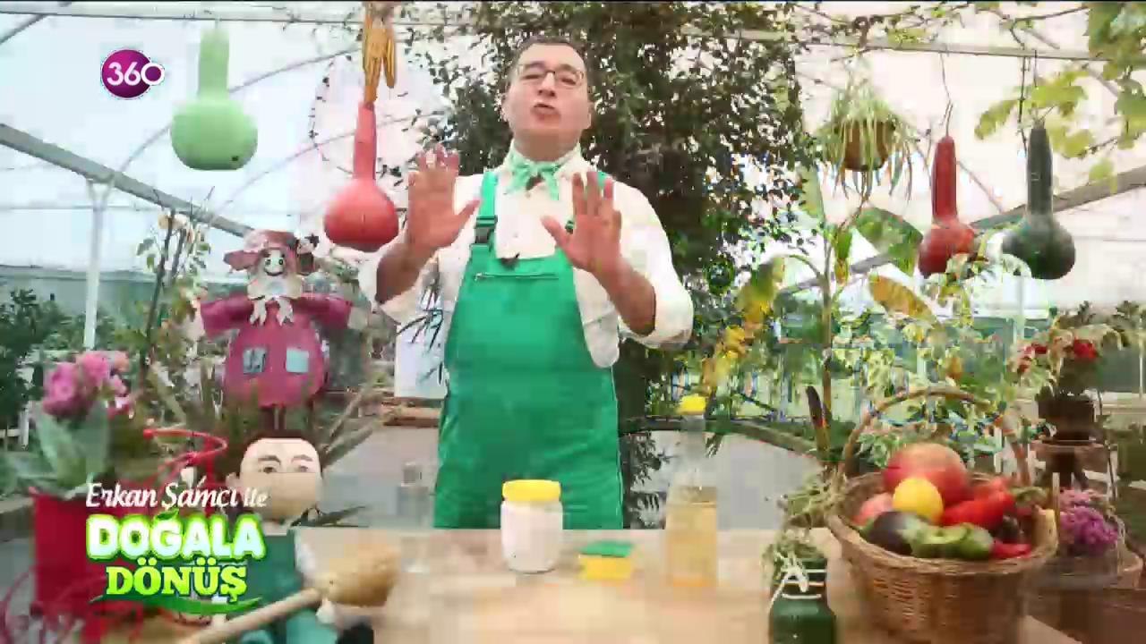 Küflerden kurtulmanın doğal yolları