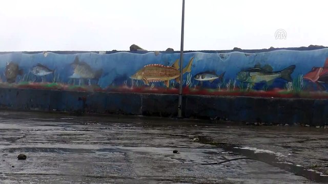 Batı Karadeniz'de kuvvetli rüzgar - DÜZCE