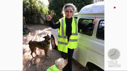 "Gilets jaunes" : des célébrités solidaires avec le mouvement
