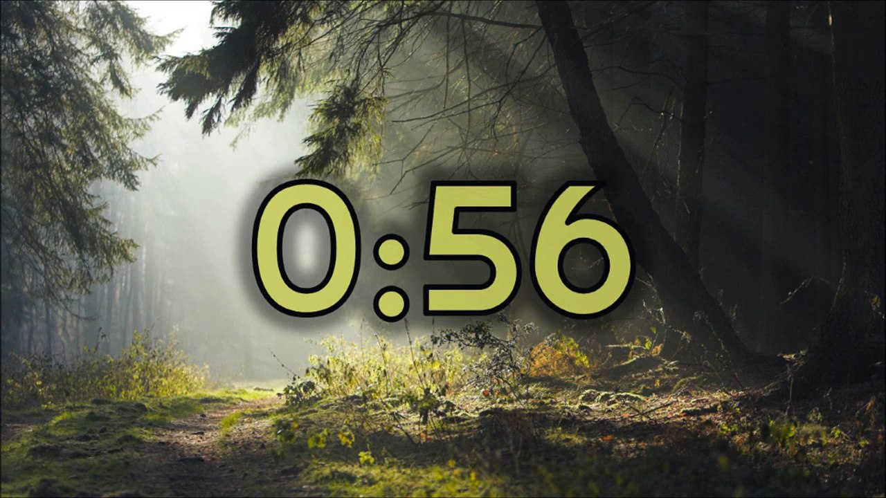 Timer for minute
