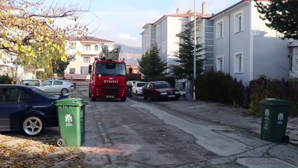 Ağaçta mahsur kalan kedinin yardımına itfaiye koştu - ERZİNCAN
