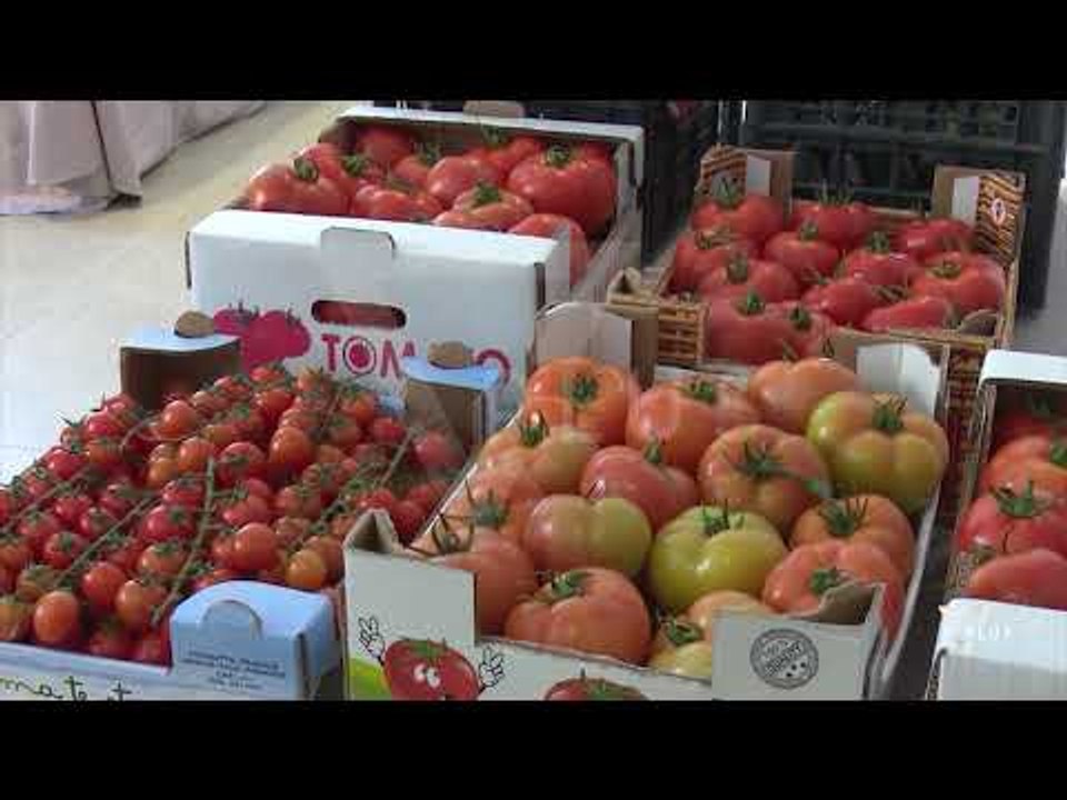 Ulen fondet për sigurinë ushqimore - News, Lajme - Vizion Plus