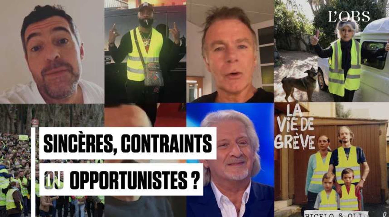 Sincères, contraints ou opportunistes, ces people qui soutiennent les "gilets jaunes"