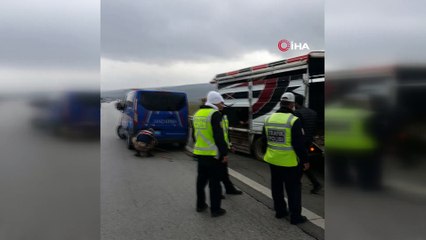 Kaçan dana otobanda ortalığı birbirine kattı