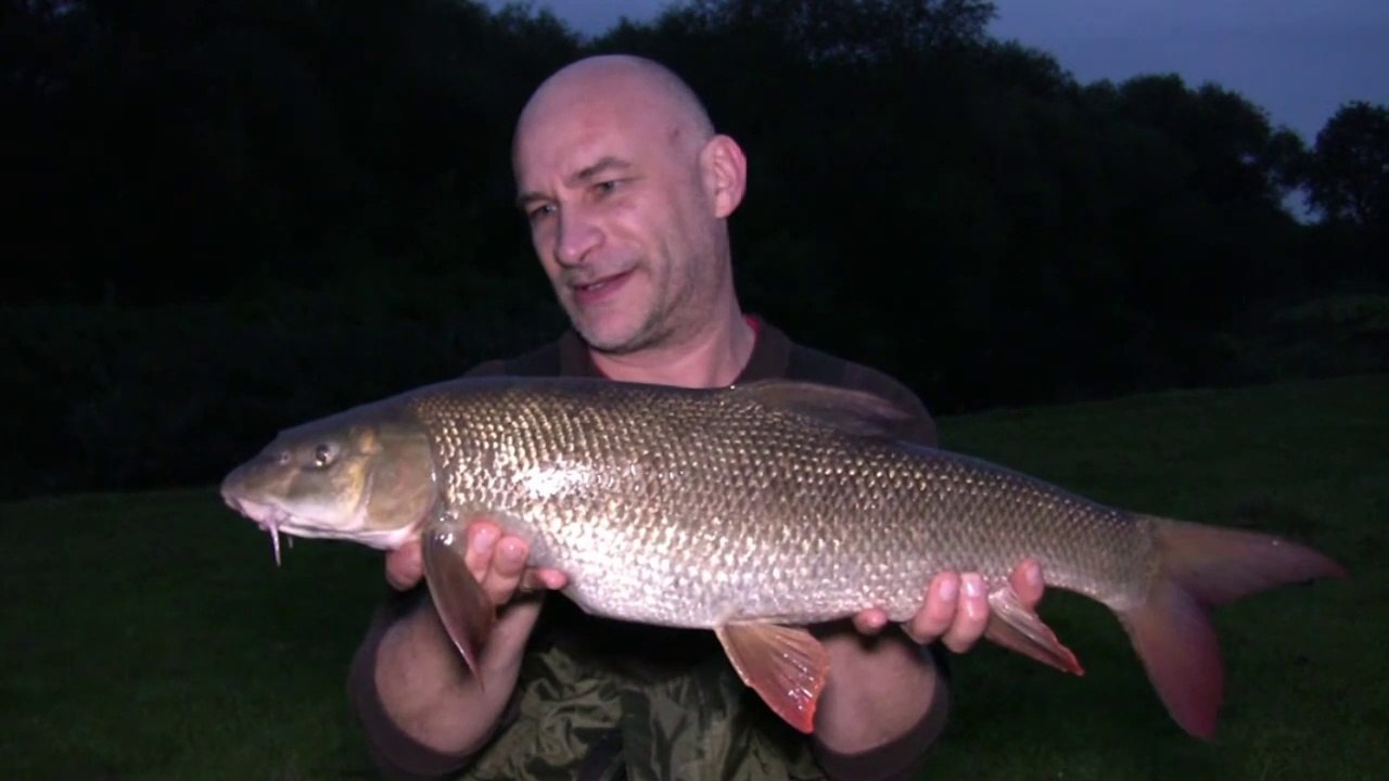 Barbel Fishing - 2017 Warwickshire Avon River Campaign -  18/9/17 (Video 38)