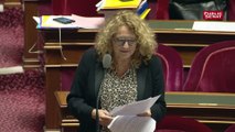 Budget: Françoise Laborde défend le taux réduit de TVA pour les couches