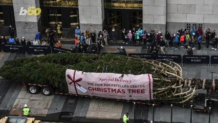 Fun Facts About The Rockefeller Center Christmas Tree You Probably Didn’t Know