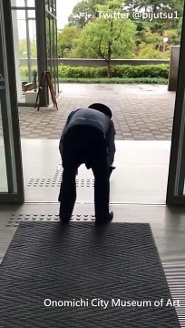 Dois gatos hilários tentam diariamente por anos entrar em um museu no Japão