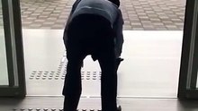 Dois gatos hilários tentam diariamente por anos entrar em um museu no Japão