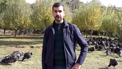 Şemdinli'de huzurla birlikte yatırım iklimi oluştu - HAKKARİ