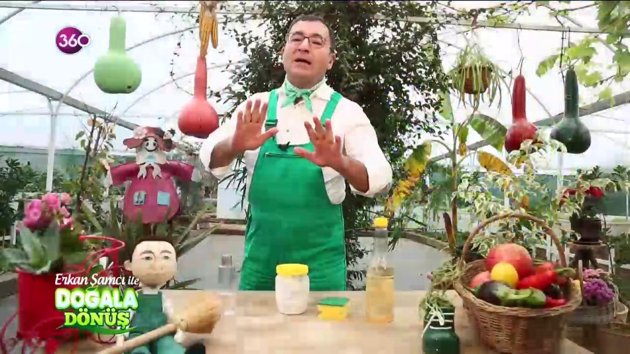 Doğala Dönüş