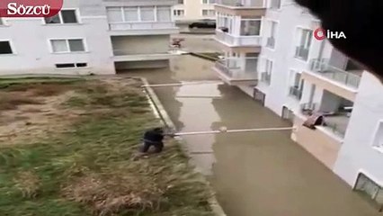 Bu da 'ekmek' balıkçılığı