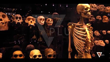 Next - Travel - 29 Nëntor 2018 - Show - Vizion Plus