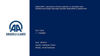 Buzağıyı otomobille eve götürdü - ŞANLIURFA