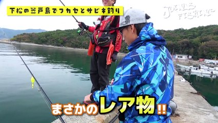 この集魚力はチート並み！？T&Fの集魚剤で釣りをしてみた！【後編】