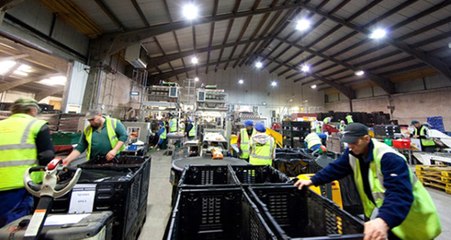 Alman Devi Bayer, 12 Bin Kişiyi İşten Çıkaracak