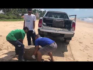 Pacotes de couro encontrados na praia