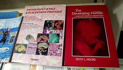 Emmanuelle Amar, directrice du Registre de malformations en Rhône-Alpes