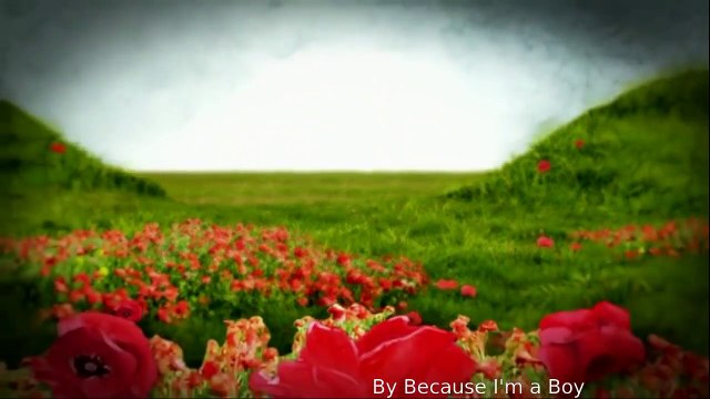 Canadian Male Heroes Get Female Faces