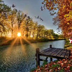 musique orientale , موسيقى شرقية