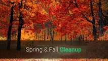 Spring and Fall Cleanup From Pro Lawn Care Services in Tampa FL