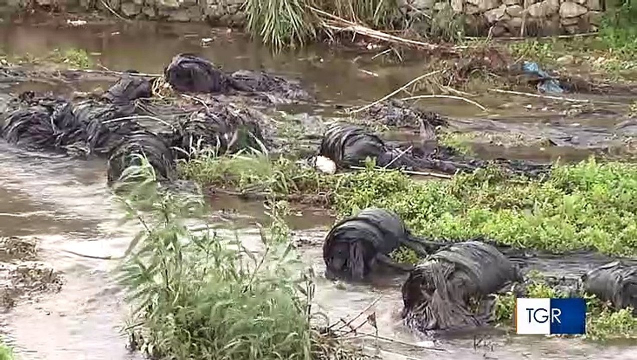Il canale dei rifiuti a Sud della Puglia, ecco dove si trova questa ennesima vergogna a cielo aperto