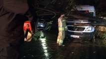 Şiddetli fırtınada ağaç minibüsün üstüne devrildi