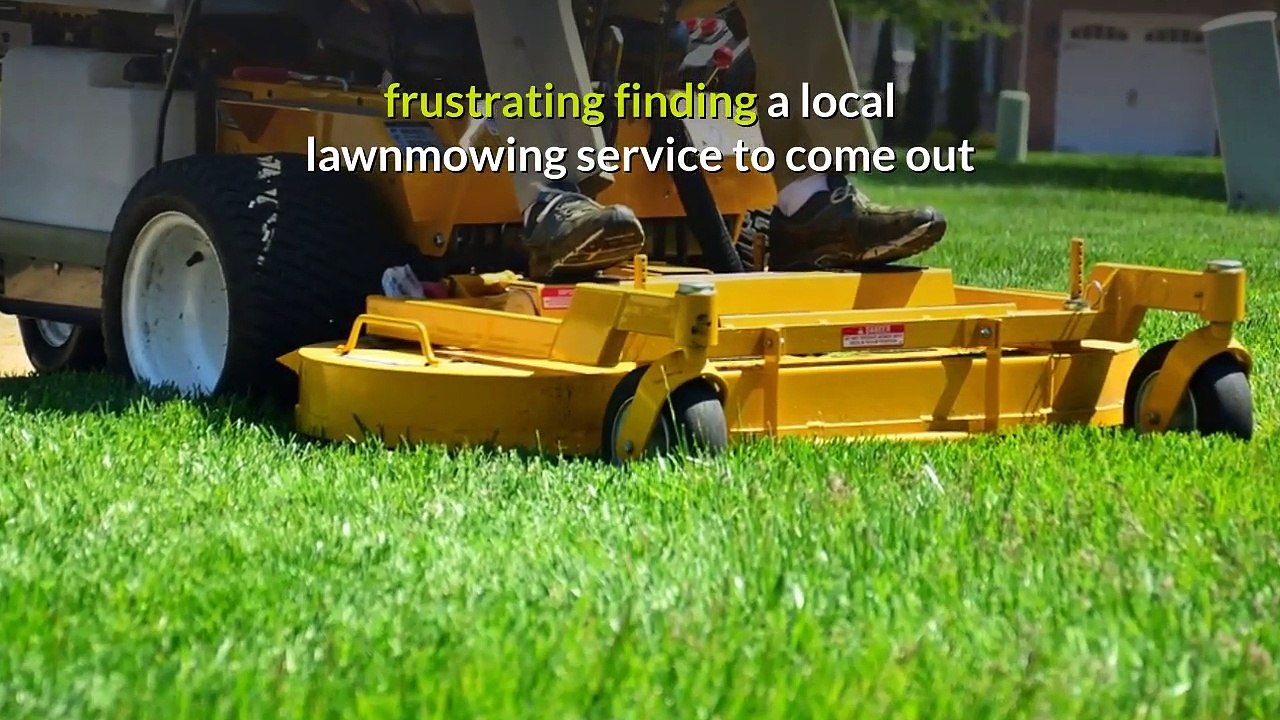 Lawn Care Services Near Me In Tampa Florida