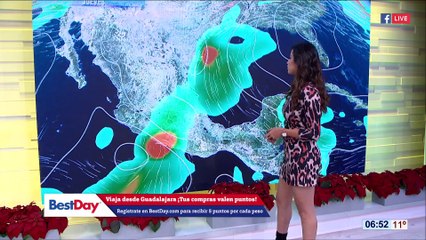 Susana Almeida 29 de Noviembre de 2018