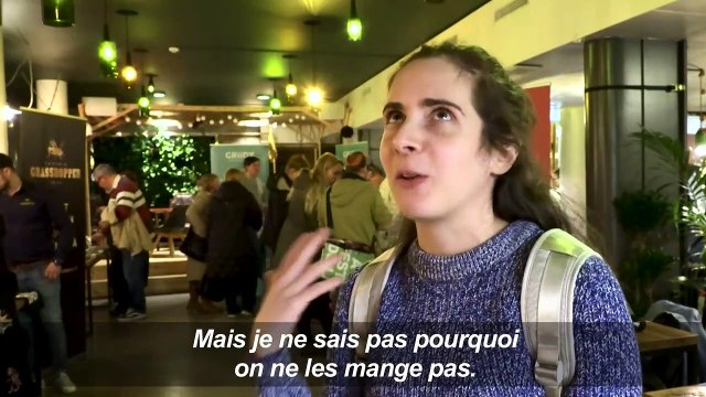 Vers, grillons et cafards à déguster à Helsinki