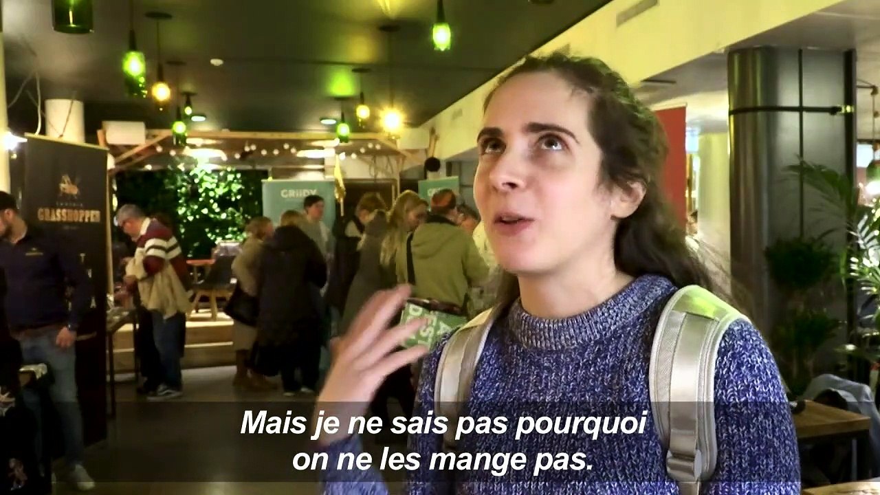 Vers, grillons et cafards à déguster à Helsinki