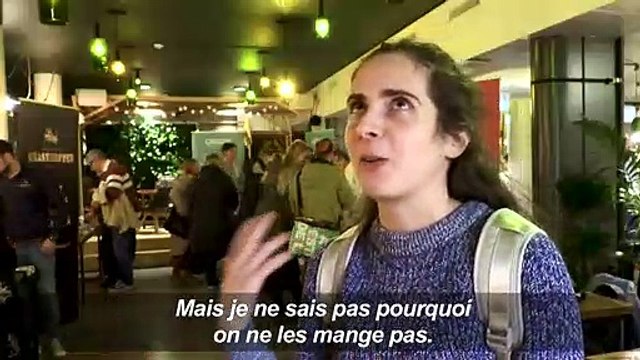 Vers, grillons et cafards à déguster à Helsinki