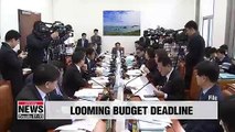 South Korea's 2019 budget unlikely to be passed by legal deadline
