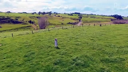 봉화출장마사지 - { 카톡MSG5588 } ⊀Ö7Ô-5180-1616⊁ 봉화출장안마'20대' 봉화출장안마 출장안마코스 봉화출장안마 봉화출장마사지-황제 봉화출장마사지- 봉화콜걸.