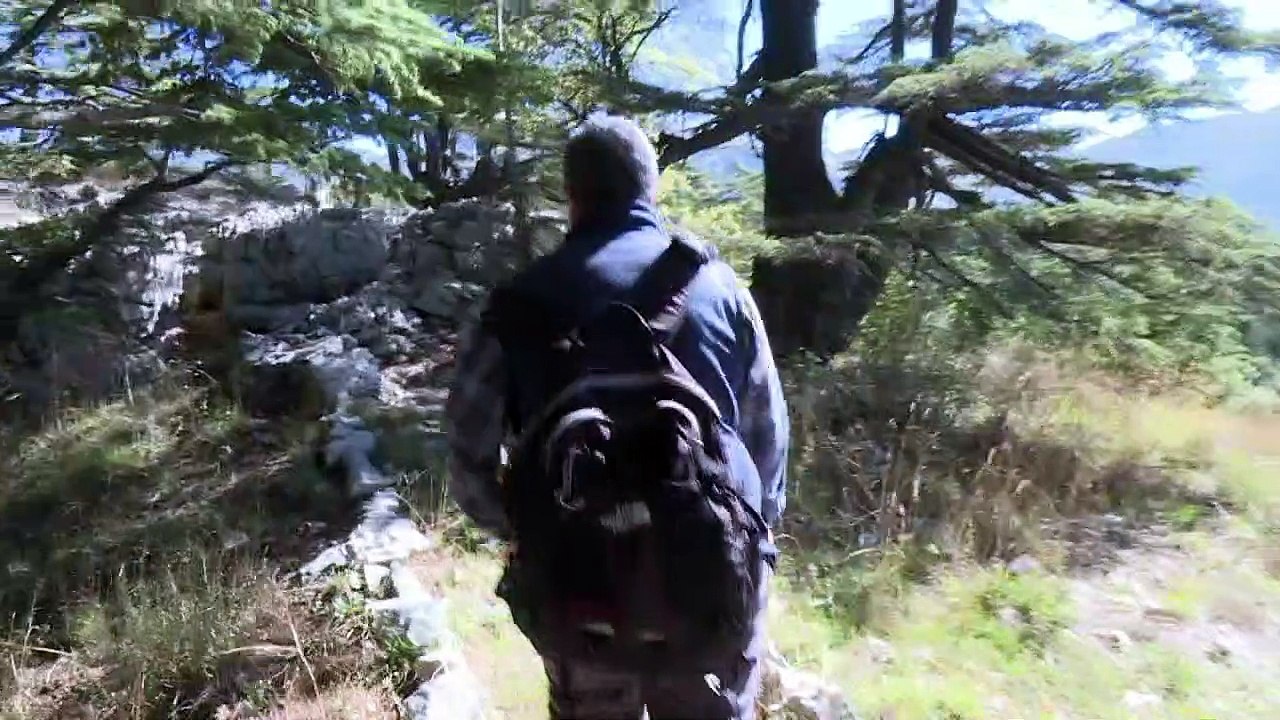 Klimawandel bedroht Libanons nationales Wahrzeichen