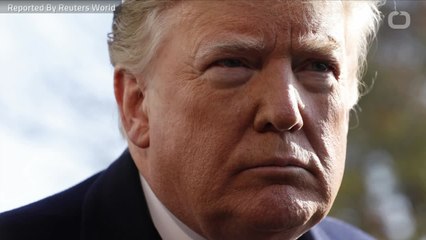 Trump Cancels Putin Meeting After Cohen's Guilty Plea