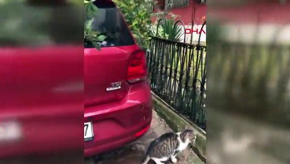 Ağaç, fırtınada aracın üzerine devrildi