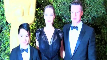 Brad Pitt Wants To Have A 'Drama Free' & 'Fun Holiday' With His Kids