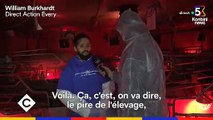 Hugo Clément se rend dans une maternité porcine et est témoin de l'enfer des animaux - Regardez