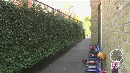 Sans frontières - Des murs végétaux dans les écoles